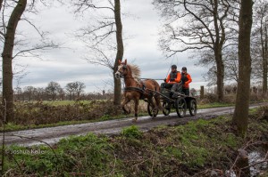 oefenmarathon 2016 MG 3425-3425 